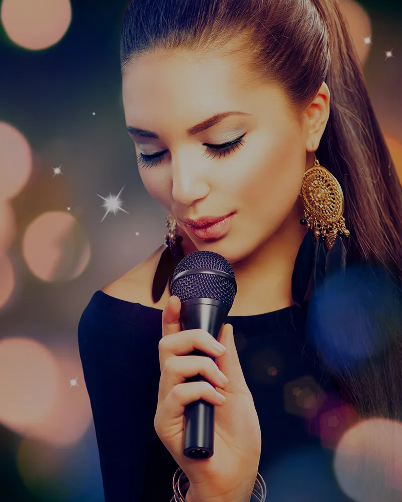 Croatia bachelor karaoke / ktv package