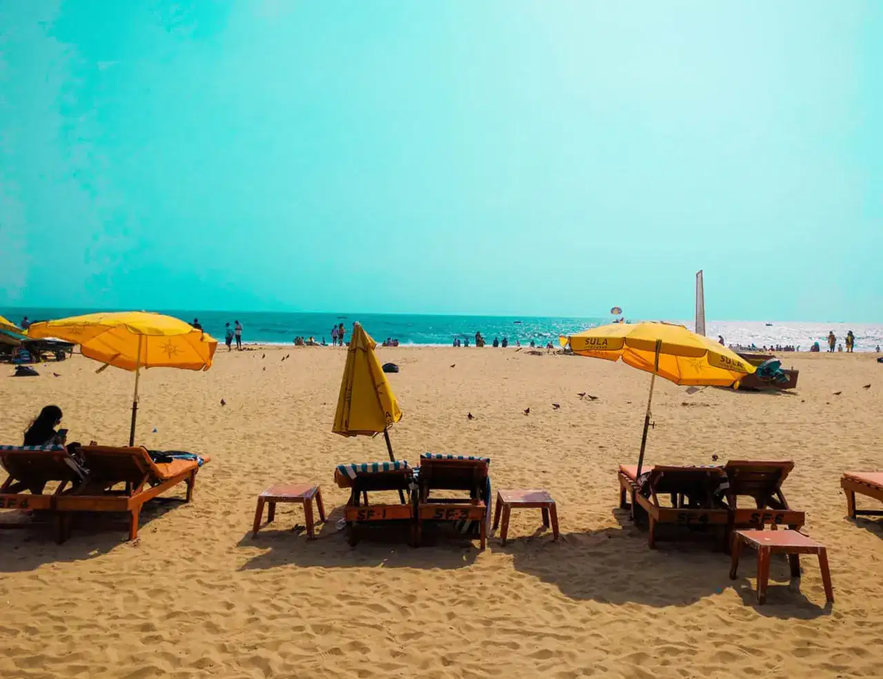 Goa group travel function space package