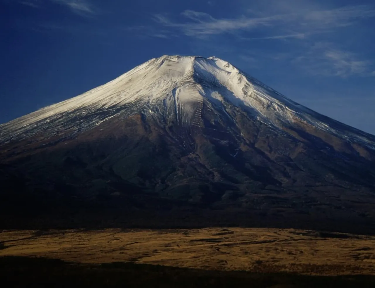 Tokyo group travel activities package